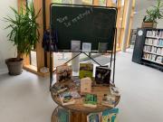 IMG5776